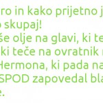 VK-slideshow-white-green-2